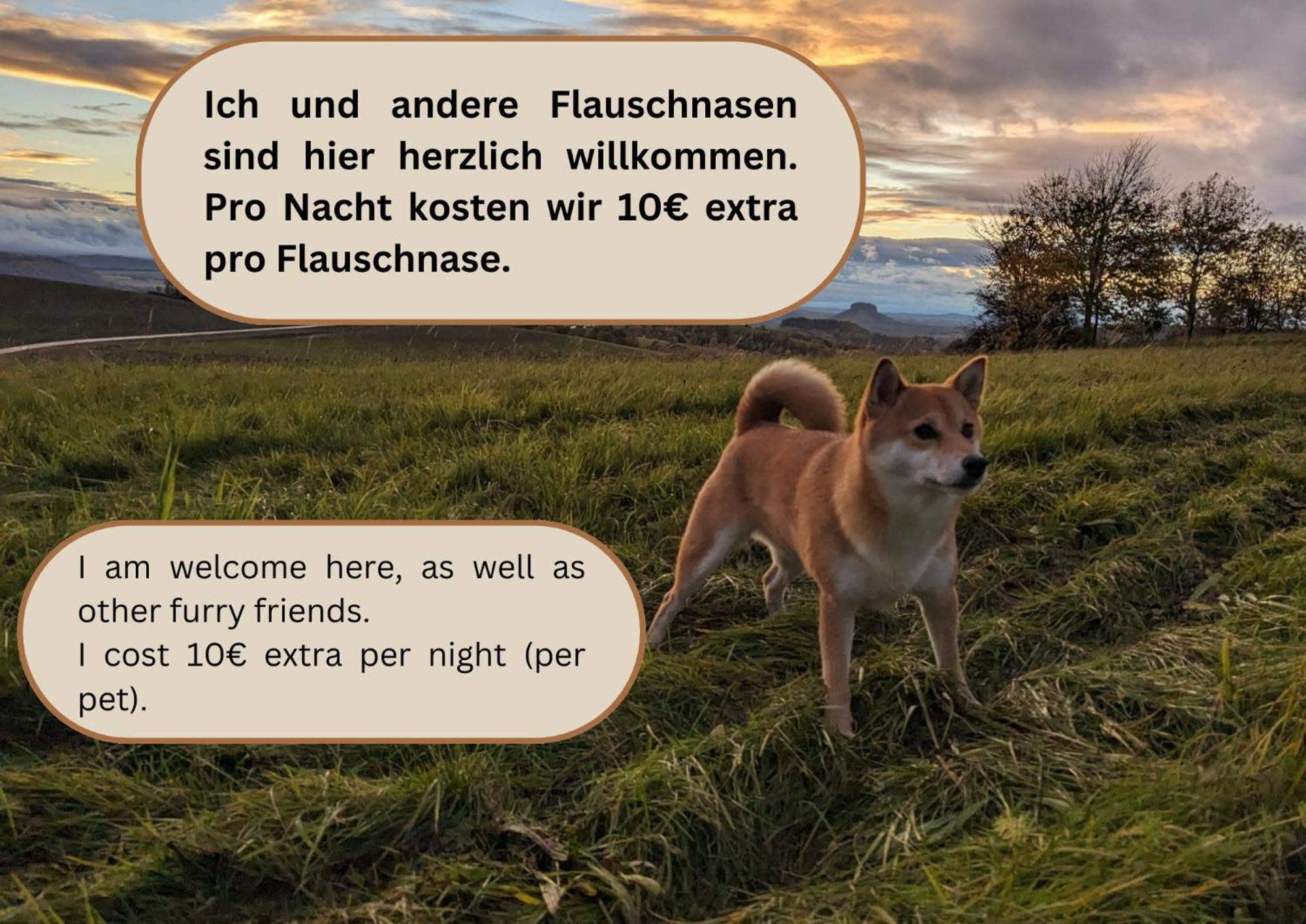 S2 - Urlaubsmagie - Am Wanderweg Mit Terrasse Apartment Sebnitz Bagian luar foto